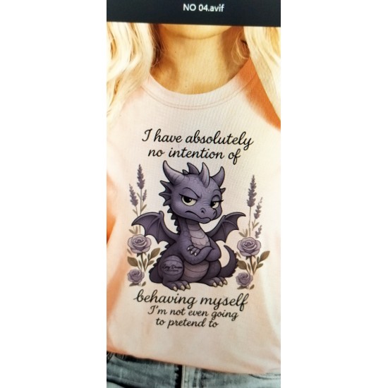 SPOT DEAL        ALYSON O'BRIEN      No Intentions T Shirt