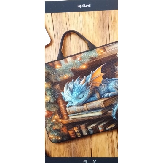 SPOT DEAL        CAROL INNESS      Laptop Bag