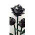 SPOT DEAL        ALEX BARRETT      Black Roses