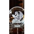 SPOT 066        CHERYL C DAVIES     Dragon/Girl Crystal Ball