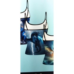 SPOT DEAL        MARIE STAPLES       Dragon Vests x 3