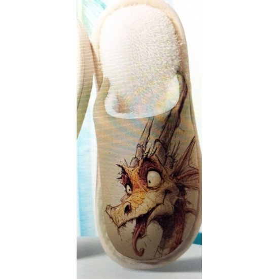 SPOT DEAL        JAN WESTLEY      Cooky Dragon Slippers