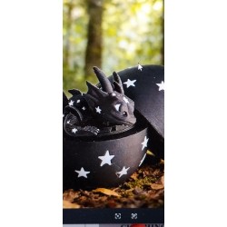 SPOT 015        CLARE JAMES     Starry Night Dragon