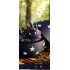 SPOT 015        CLARE JAMES     Starry Night Dragon