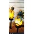 SPOT 016        GLYNIS HAMLETT      Solar Light x2
