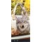 SPOT 050        JACKIE THOMAS     Quilted Wolf Bag