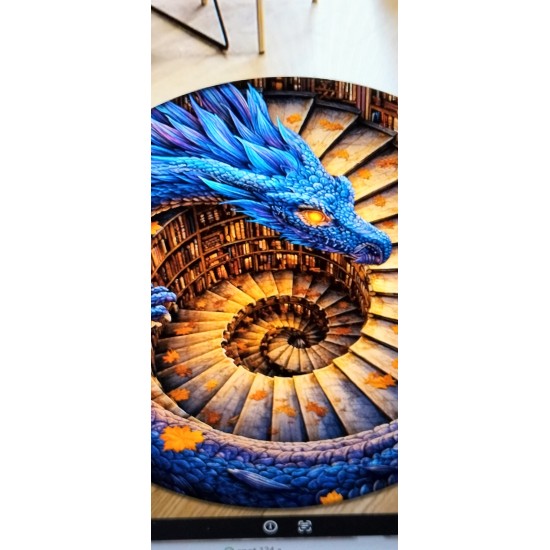 SPOT 123        CAROL INNESS     Spiral Stairs Rug