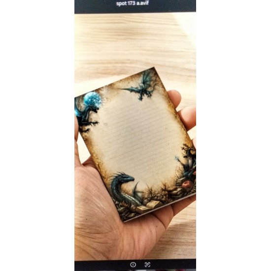 SPOT 173       A ANN OTHER     Dragon Memo Pad