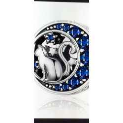 CHM   Spacer   Mystic Cat