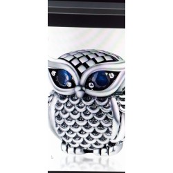 CHM   Spacer   Silver Owl