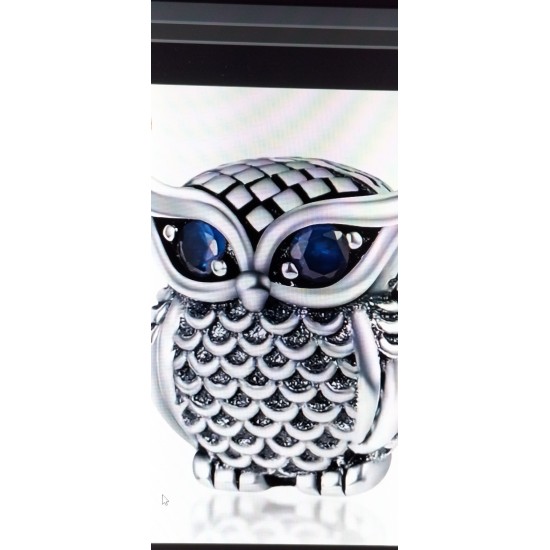 CHM   Spacer   Silver Owl