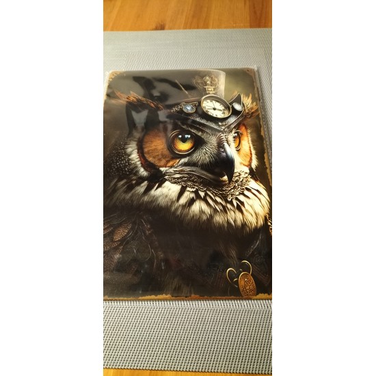     Metal Sign of Steampunk Owl