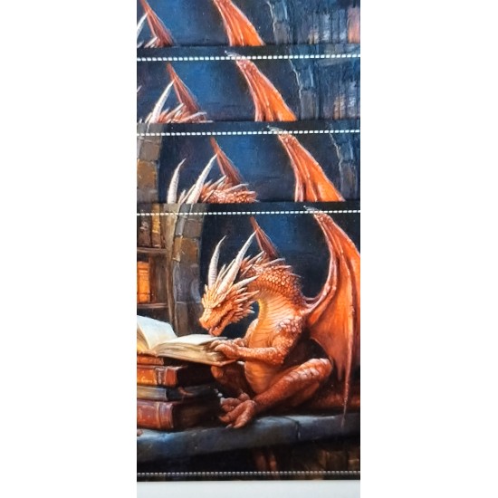 D/D46    DEBBIE MAY    4 x Placemats