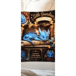 EO    ALYSON O'BRIEN    Pillow Case x2 D51