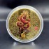      Coin Coiled Red Dragon