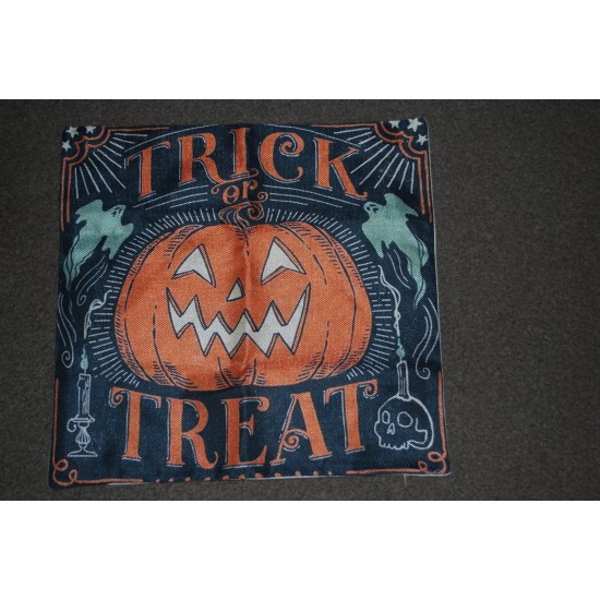      Cushion Cover 2 x Halloween Set 3