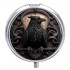 PL    Raven Pill Box