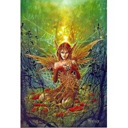 Mounted A4 Colour Print of The Cobweb Fairy