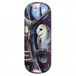 Glasses Case featuring Fairy Tales