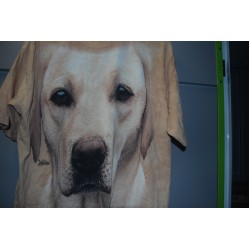  Bargain T Shirt featuring Labrador Portrait Size X Large